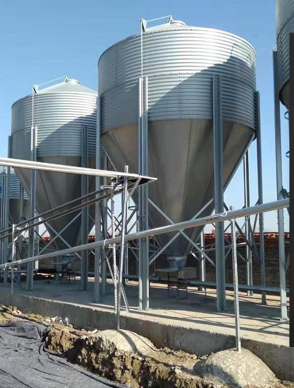 图片11.jpg 图片11.jpg