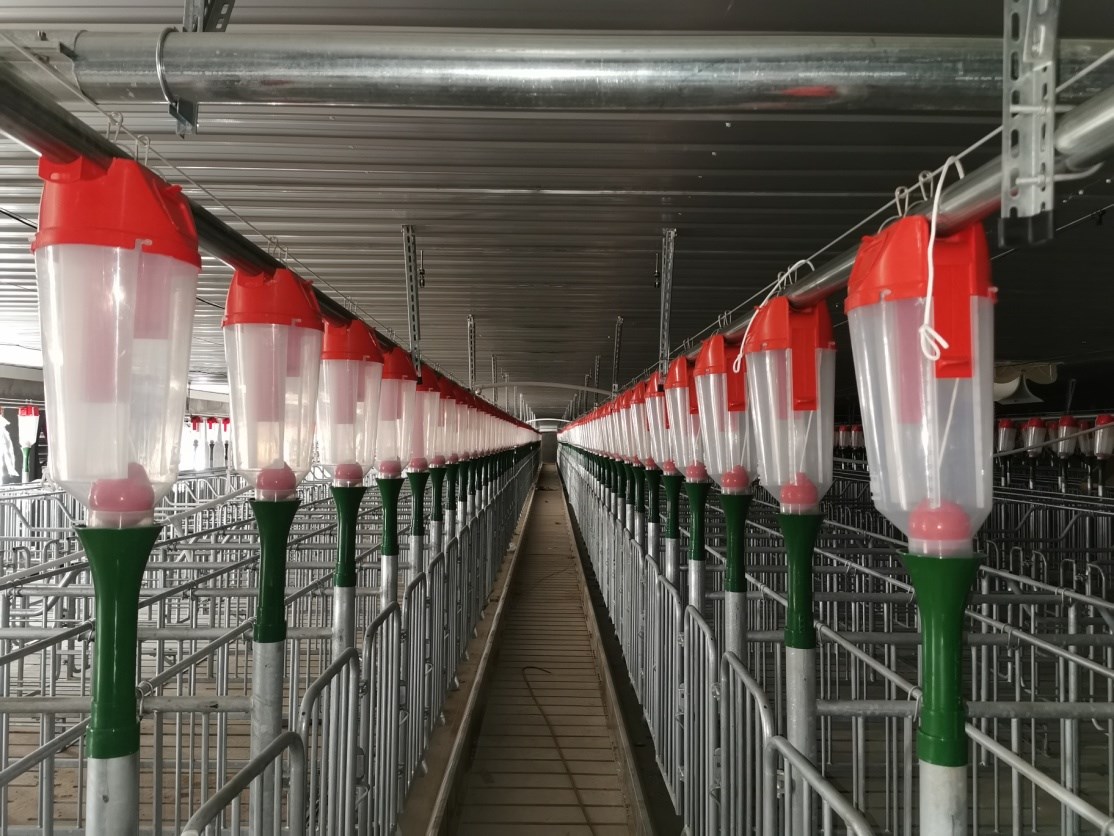 图片12.jpg 图片12.jpg