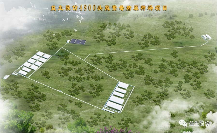 【喜讯】黑龙江益生种猪繁育有限公司原种猪场建设项目开工
