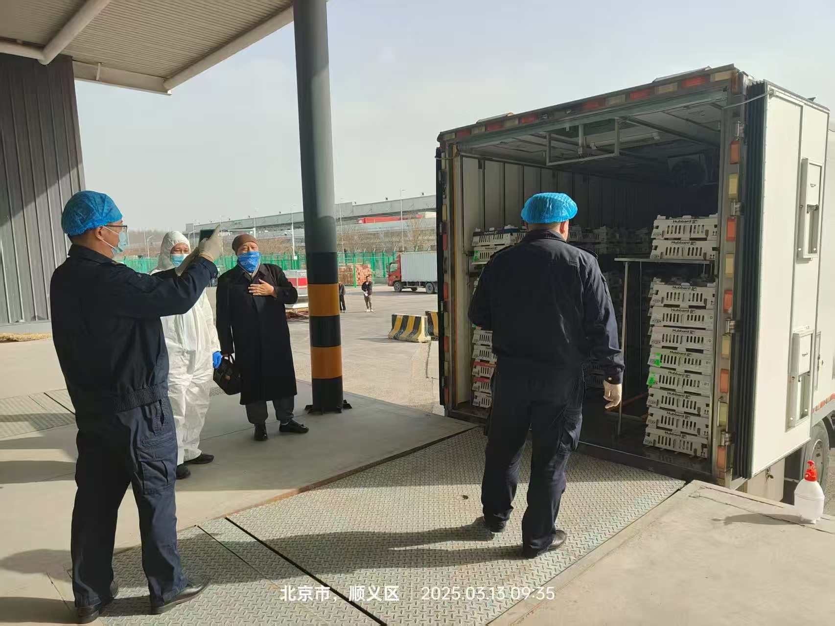 【引种】喜讯！益生股份从法国引进的第二批祖代白羽肉种鸡尘埃落定