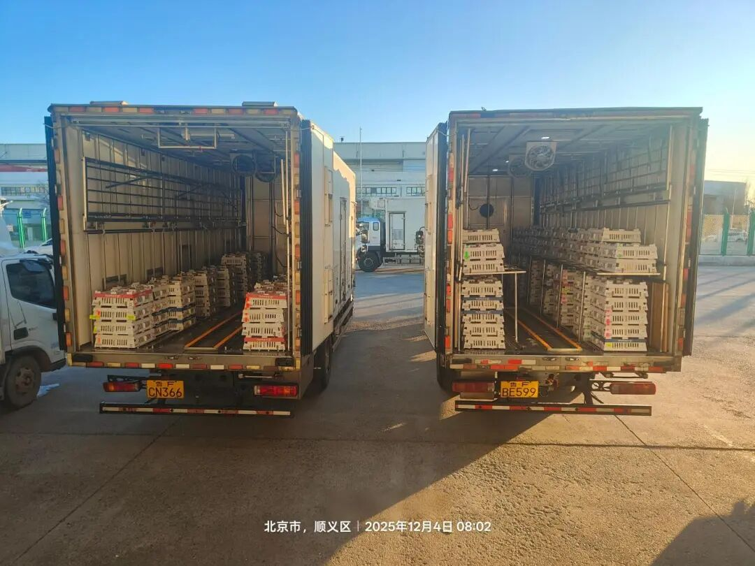 [引种】益生股份再度引进法国种源，龙头地位巩固保障产业稳定