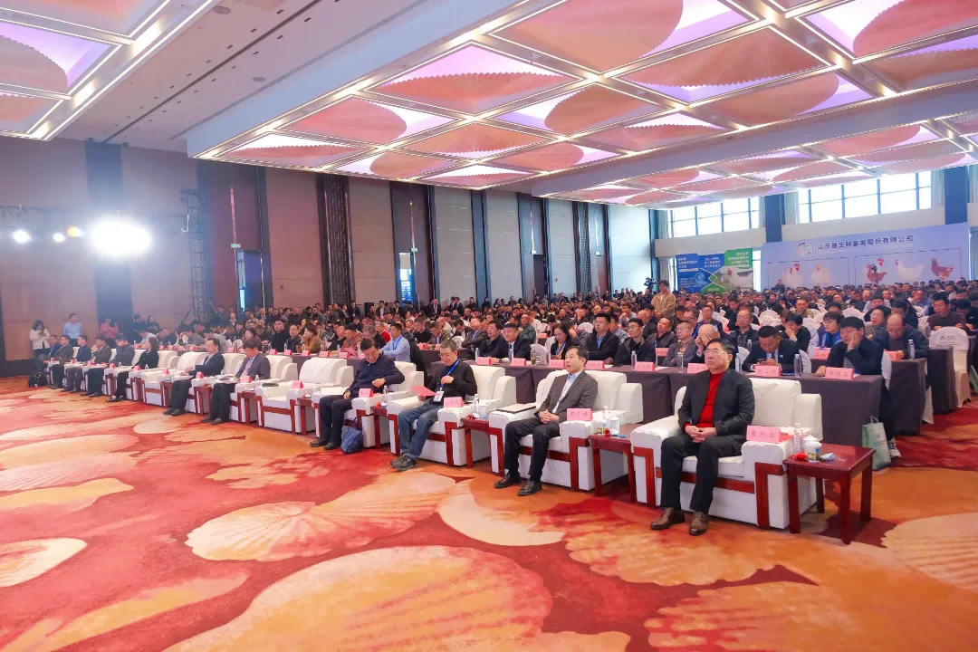 【会议】益生杯-第四届（2026）肉鸡产业五岳论坛暨山东肉鸡高质量发展大会在烟台隆重召开